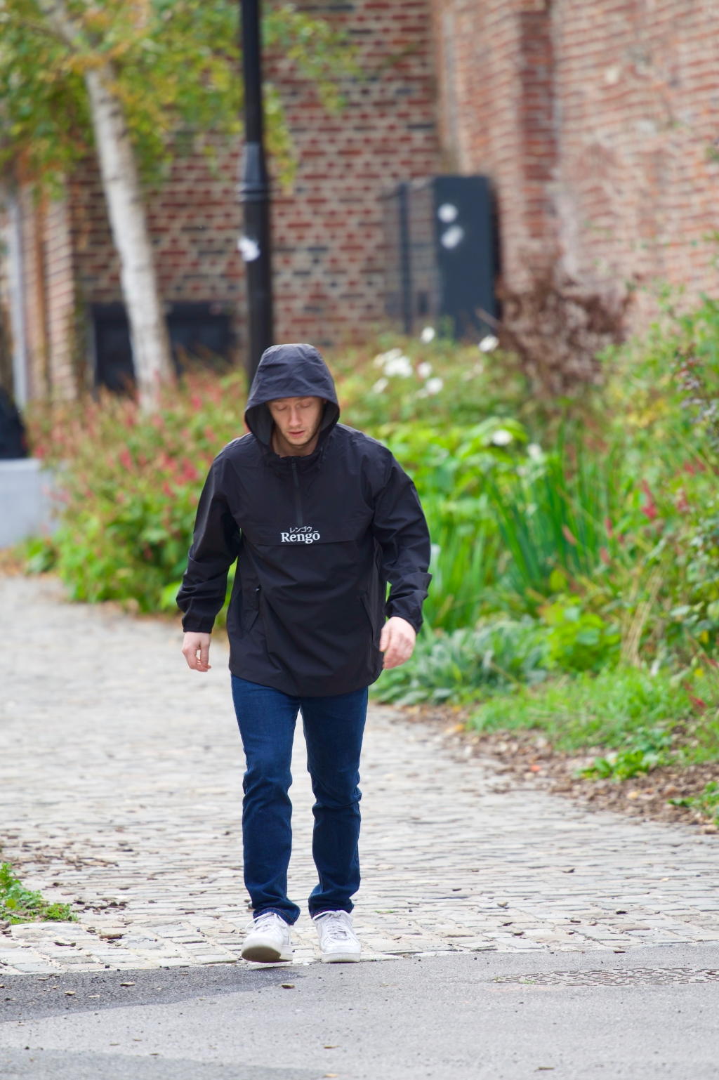 Coupe-Vent ENSO Forêt
